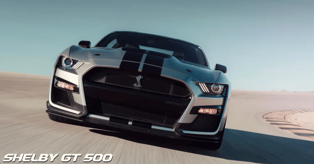 The Battle of the Supercharged Stallions Shelby GT500 and Roush Stage 3 Mustang - Shelby GT 500